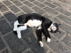 -老乌家特色小炒泡馍(大皮院店)