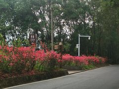 -白云山风景名胜区