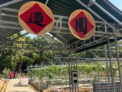 -金山植物公园