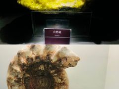 -甘肃地质博物馆