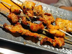 -柿子树炭烤羊腿(金台路店)