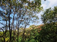 -野蔓果·山野菜(西湖景区·龙井茶田店)