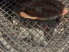 -伍棵煋炭烤自助料理·烤鳗鱼(浦东食品城店)