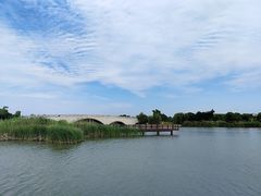 -西京湾花海
