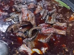 -金海椒罐罐鲢鱼(东方桂苑店)