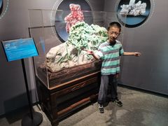 -湖南省地质博物馆