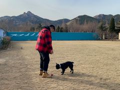 -趣玩宠物乐园寄养训犬训狗游泳池
