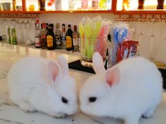 -大象厨房(重庆道店)