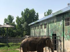 -西安秦岭野生动物园