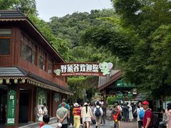 -野象谷景区
