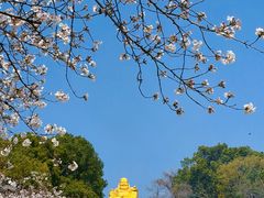 -苏州上方山国家森林公园