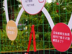 -福田红树林生态公园