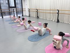 -中央芭蕾舞团·中芭艺蕾(酒仙桥明星校区)