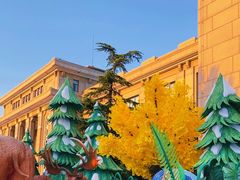 -国家自然博物馆