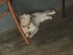 -研途咖啡馆(健康路店)
