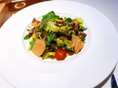 乳酪脆片生菜沙拉-王品牛排(珠海富华里店)