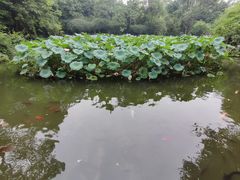 -成都杜甫草堂博物馆