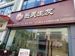 -岳灵生发养发馆