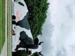 -光明农场大观园