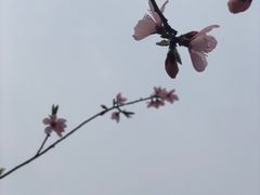 -北京金海湖景区