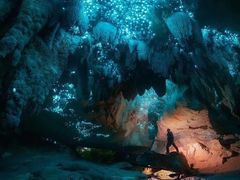 -怀托摩萤火虫洞