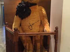 -济州岛泰迪熊博物馆