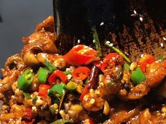 -蛙麻蛙辣炭火蛙锅(南环大街店)