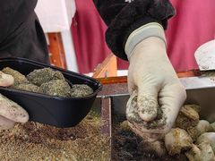 -叶氏麻糍(鼓浪屿店)