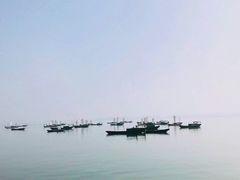 -鄱阳湖国家湿地公园