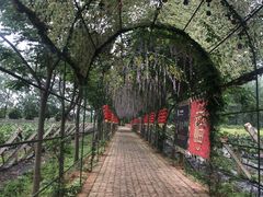 -扬州天乐湖嬉乐谷