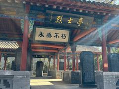 -大槐树寻根祭祖园