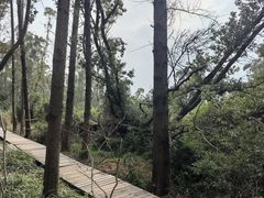 -同里国家湿地公园