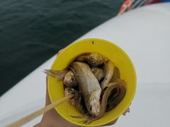 -海驴岛(荣成市)