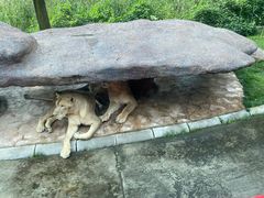 -北京野生动物园