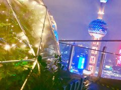 -FLAIR顶层餐厅酒吧(浦东丽思卡尔顿酒店)