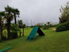 -上海崇明金茂凯悦酒店