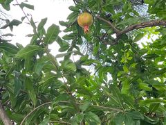 -汉长安城未央宫国家考古遗址公园