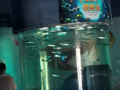 -北戴河圣蓝海洋公园