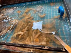 -黑金·寻焰自助百汇·烤肉·火锅(中街店)