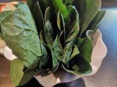 -南门四季铜锅涮肉(大屯·北苑店)