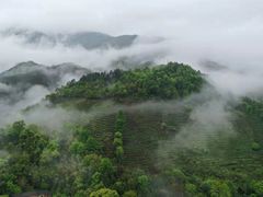 -大余丫山旅游度假区