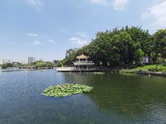 -荔枝公园(福田区)
