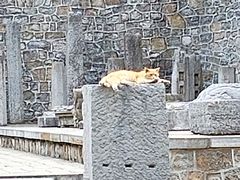 -四门塔风景区