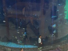 -OPEN開全日自助餐厅·牛肉火锅·海鲜(佛山希尔顿酒店)