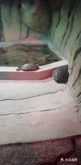 西安秦岭野生动物园图片