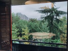 景观位-茉莉餐厅·家宴·欢聚(环城南路店)