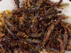 -北京龙庆四季香农家饭庄·灶台鱼·碳烤虹鳟鱼(龙庆峡店)