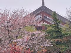 -西安青龙寺遗址景区