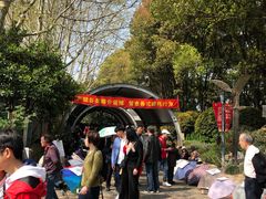 -人民公园-相亲角