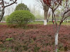 -济南国际园博园